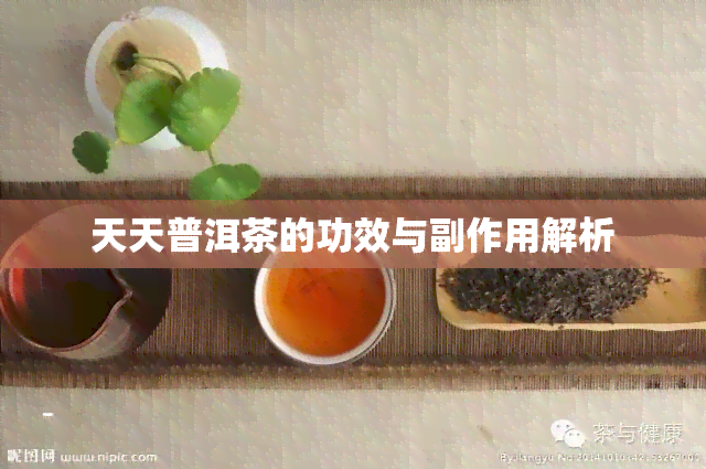 普洱茶的副作用坏处,普洱茶的副作用