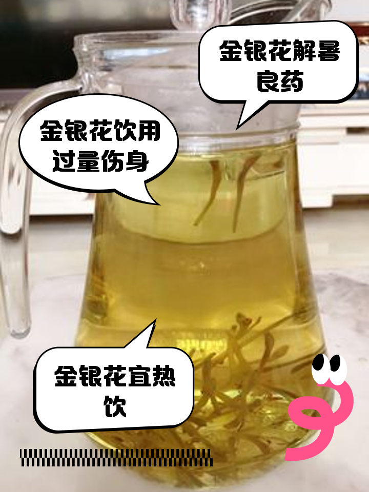 金银花茶功效竹叶菊花金银花茶功效