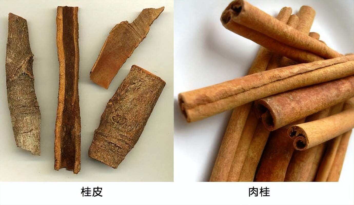 桂皮泡水喝的功效桂皮泡水喝的功效与副作用