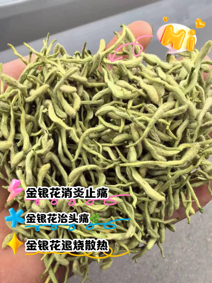 野生金银花和金银花有什么区别野生金银花的作用与用途