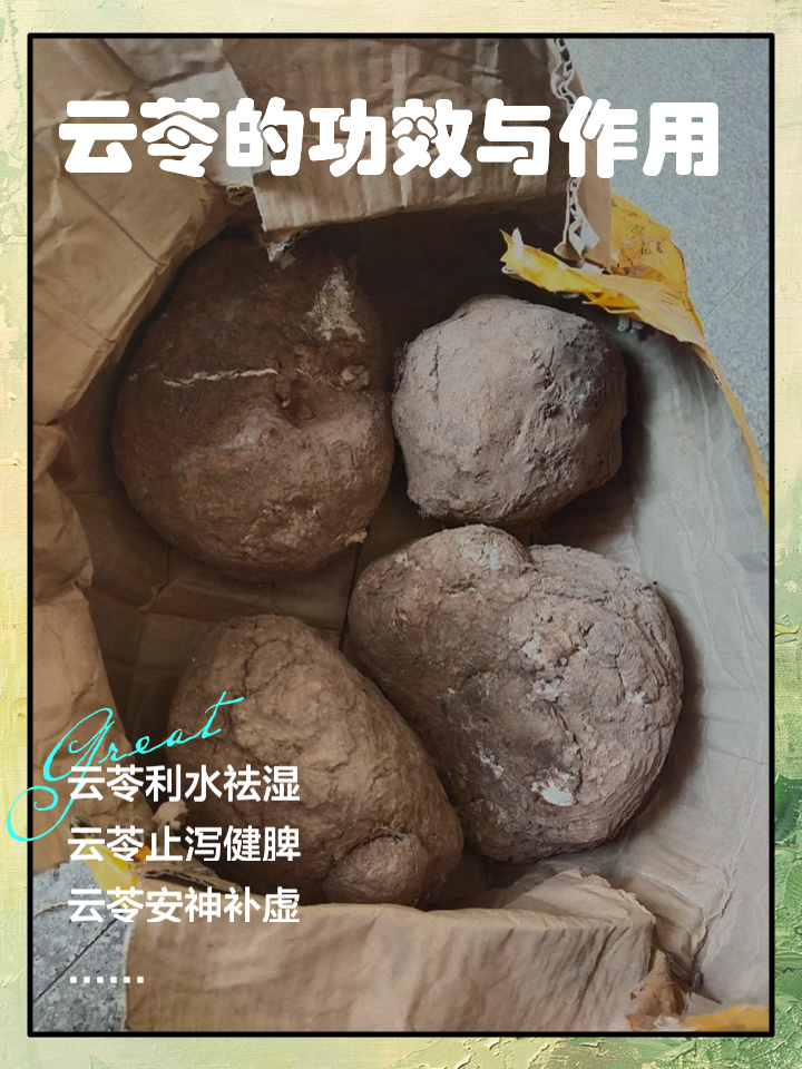 茯苓主要作用在哪个脏腑茯苓各药用部位的功效是什么