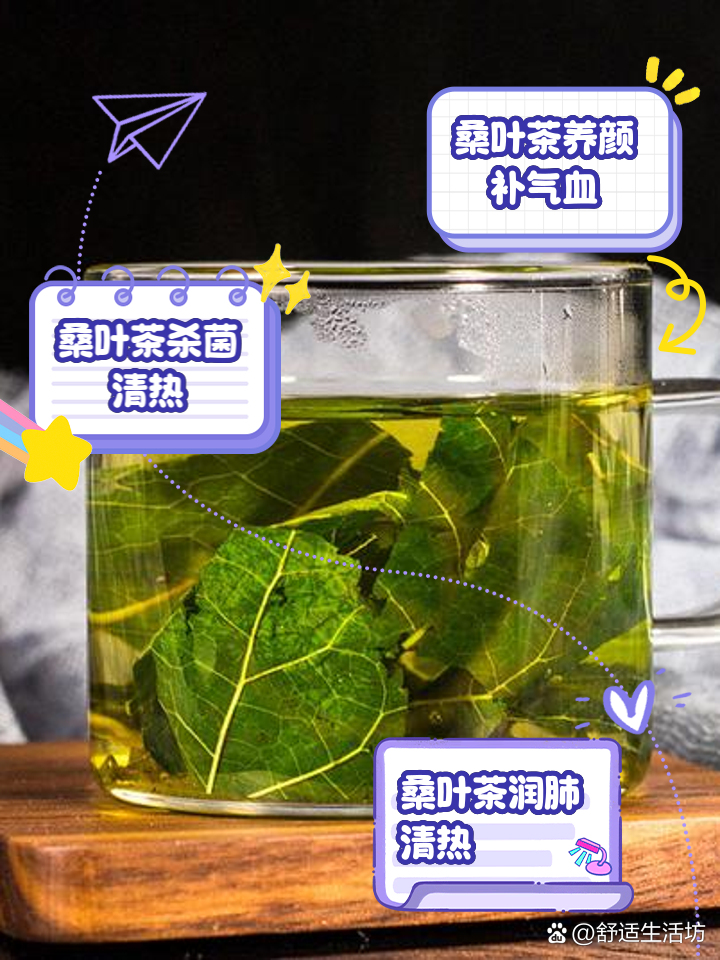 桑叶茶的功效与作用主治桑叶茶的功效