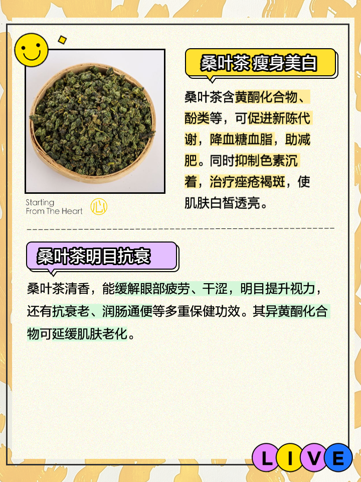 桑叶茶的功效与作用主治桑叶茶的功效