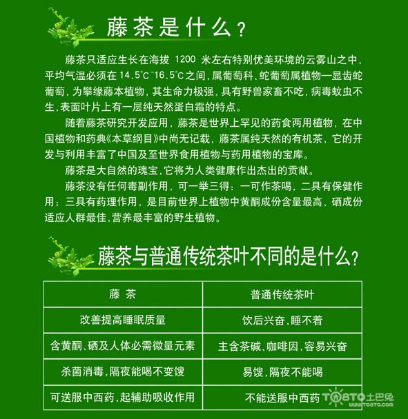 莓茶的作用和功效,莓茶的功效与作用长期喝的危害