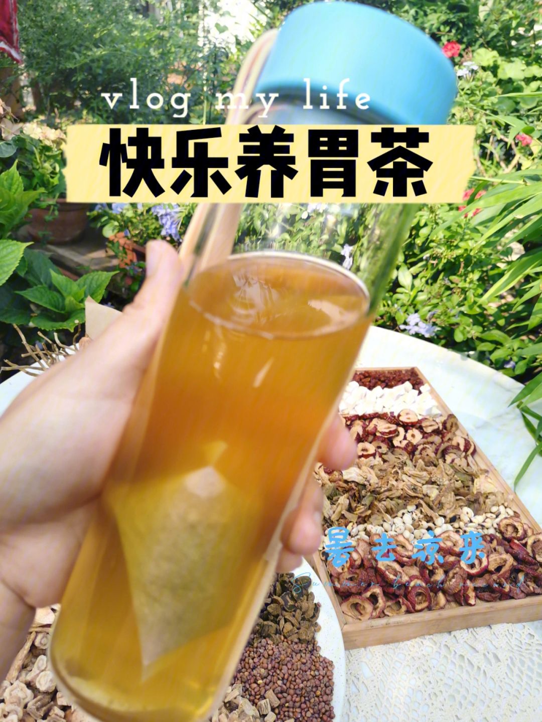 养胃茶排行养胃茶排行榜第一名