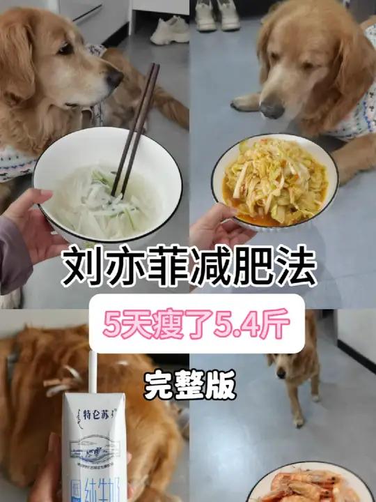 一起减肥文案,一起减肥