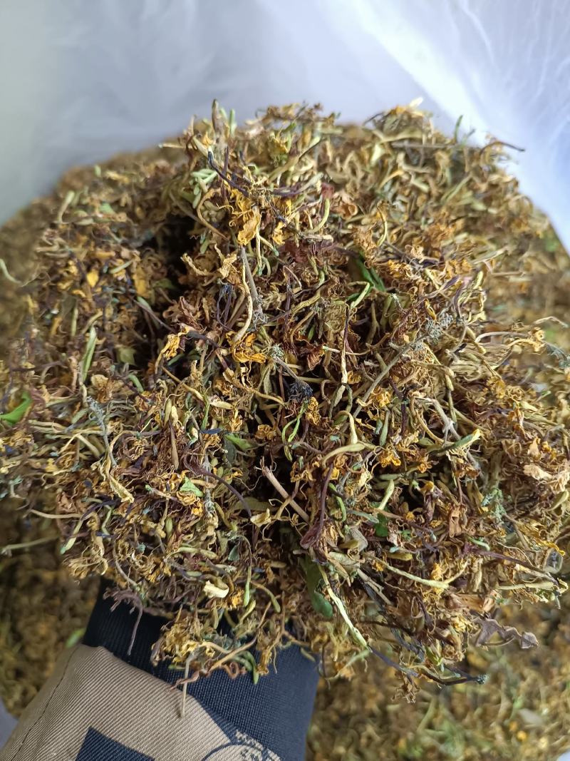 金银花一亩利润多少钱,种植技术与管理,金银花一亩利润多少