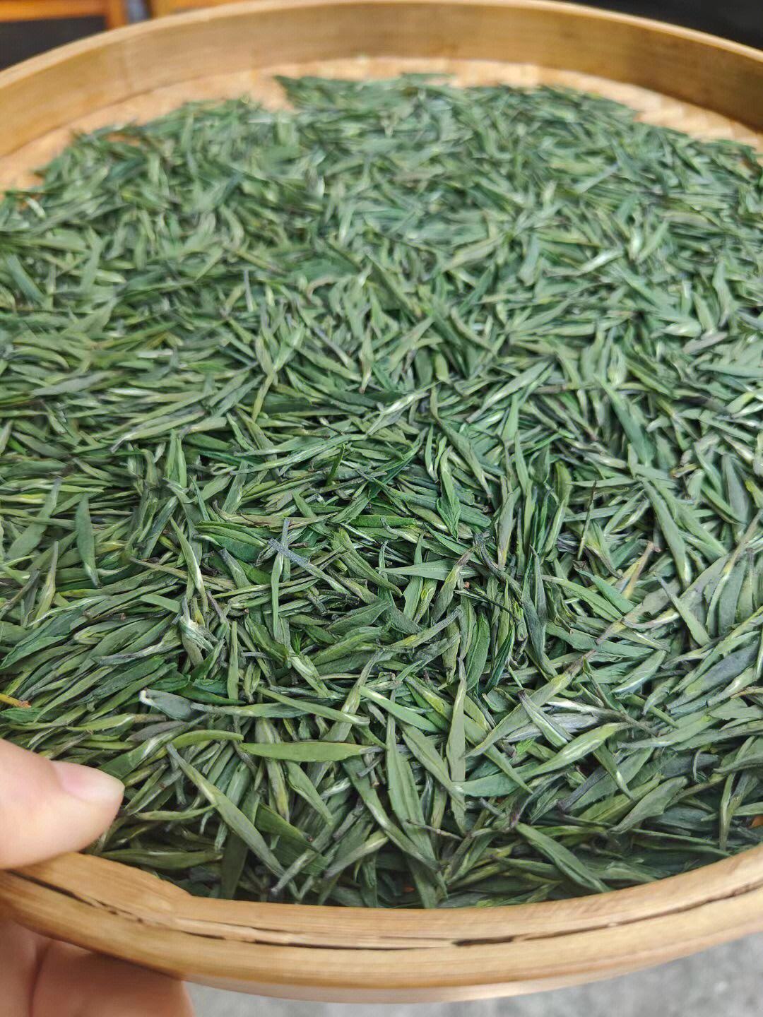 竹叶青茶怎么样,好不好,竹叶青茶怎么样