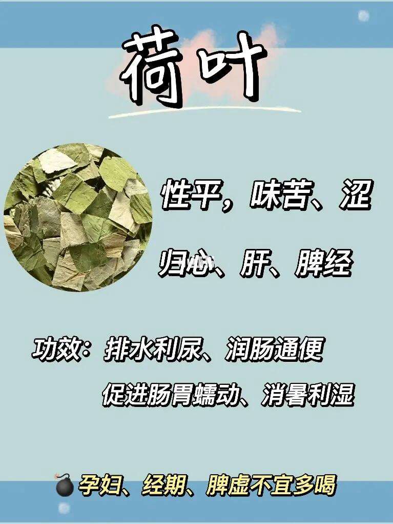 荷叶茶怎样喝减肥,荷叶怎么喝减肥