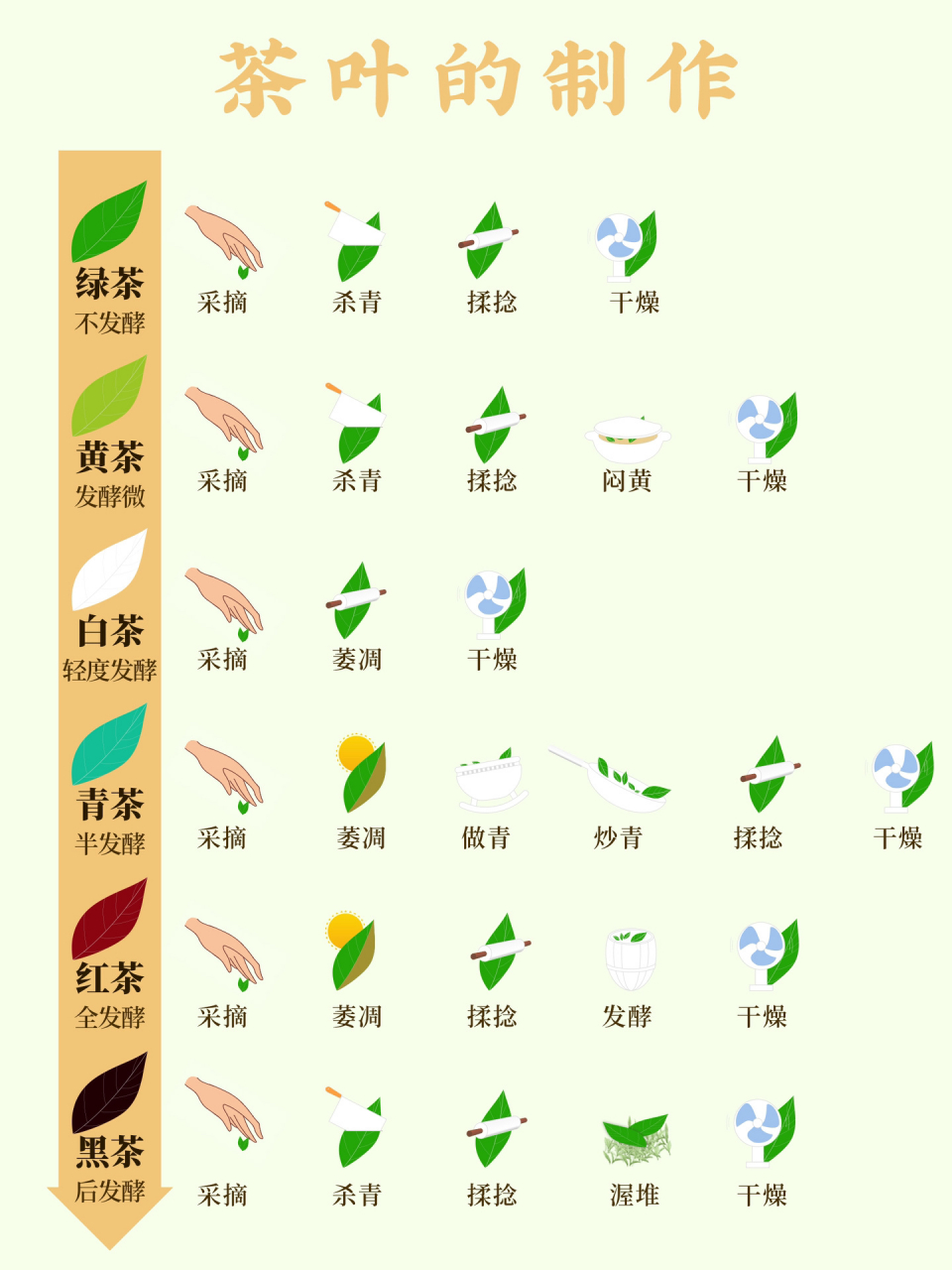 六大茶类分类依据六大茶类