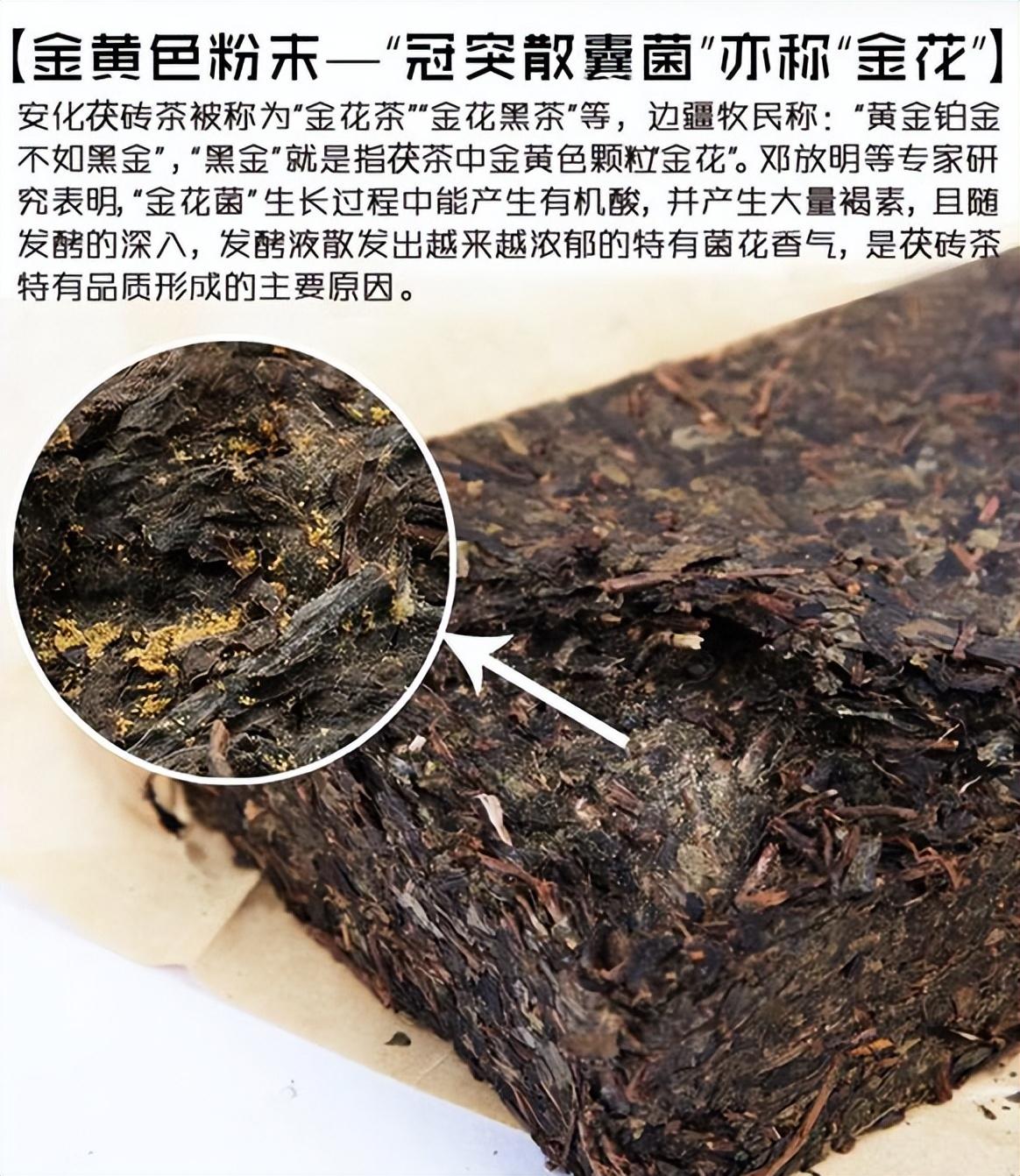 黑茶的功效与作用,黑茶的功效与作用适合什么人喝