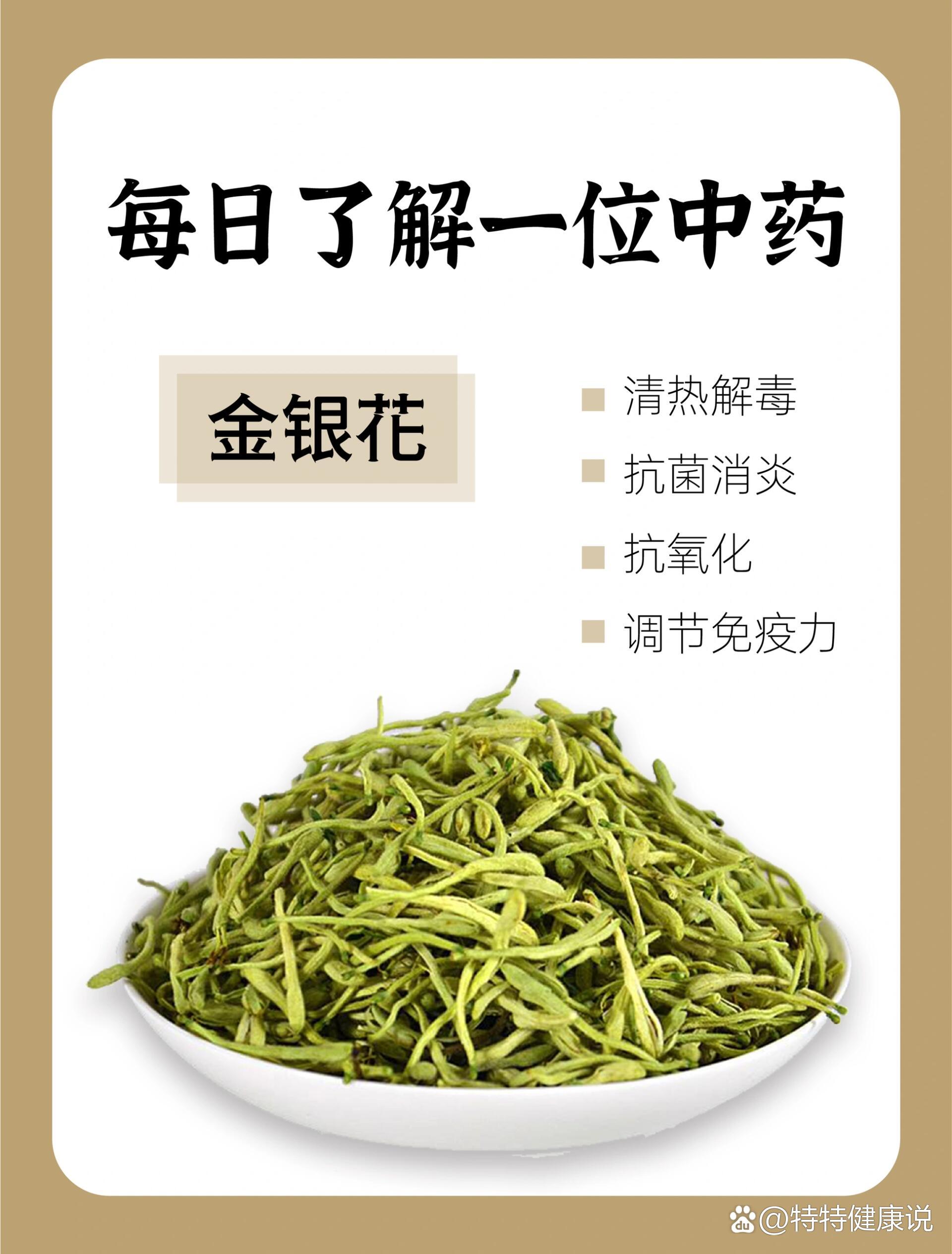 金银花茶有什么好处,金银花露一天可以喝几瓶