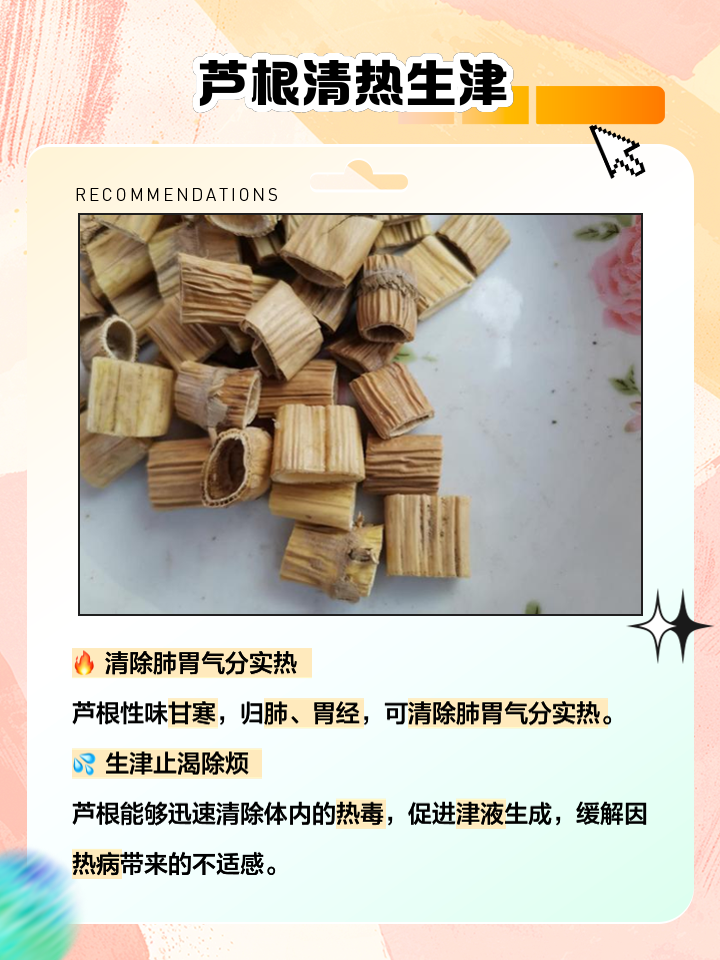 芦根的功效与作用孕妇能不能喝芦根的功效与作用