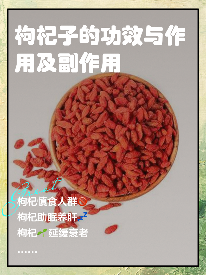 枸杞子的功效是什么枸杞子的功效