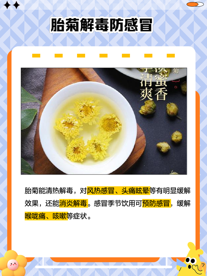 胎菊的功效与作用及禁忌胎菊的功效与作用