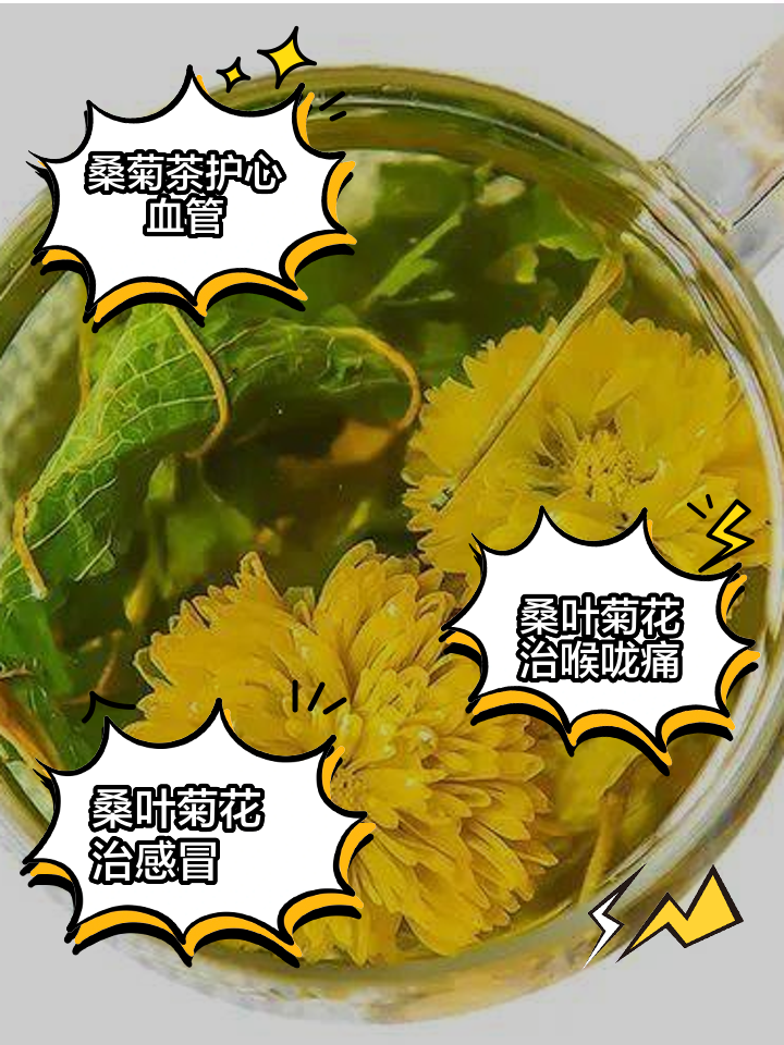 菊花茶的功效与作用作文怎么写菊花茶的功效与作用作文