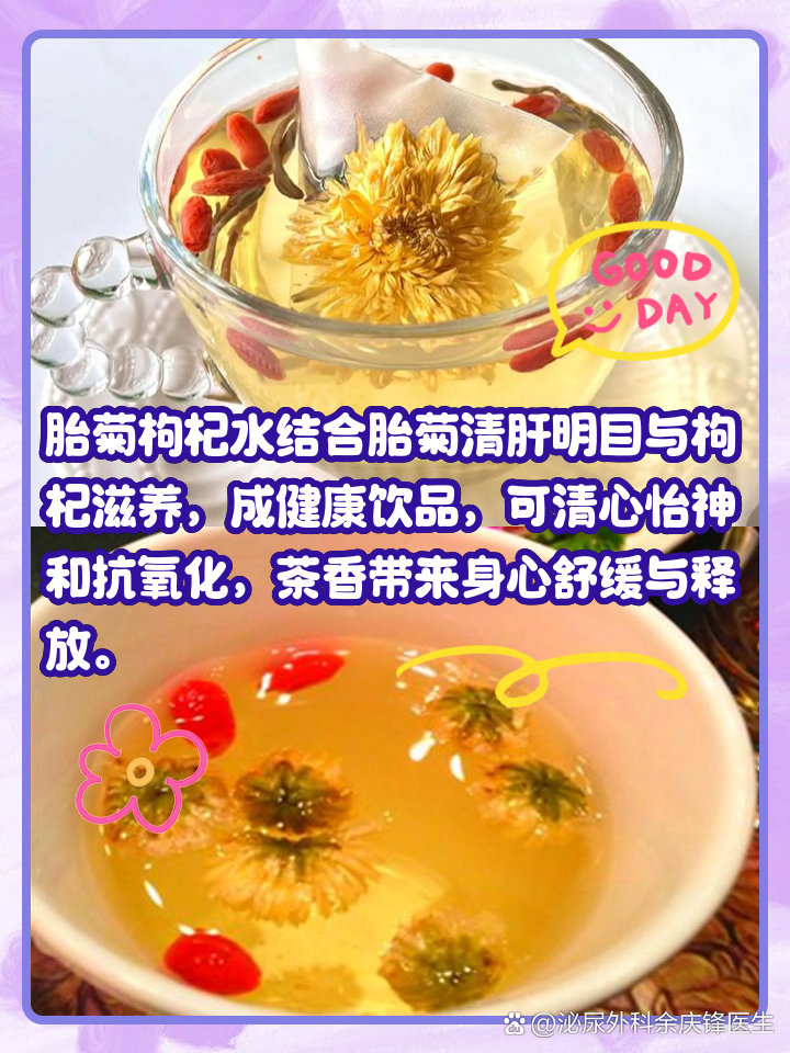 胎菊泡水的作用与功效,胎菊泡水的作用与功效和副作用