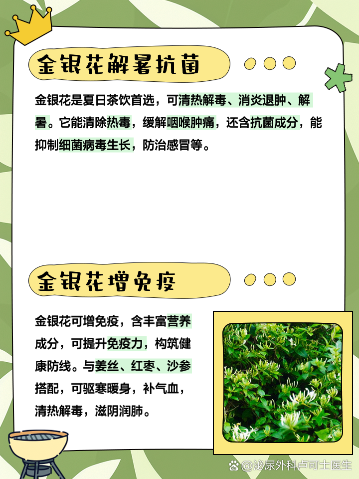 藿香黄芪金银花泡水喝的功效,藿香和黄芪共用的功效