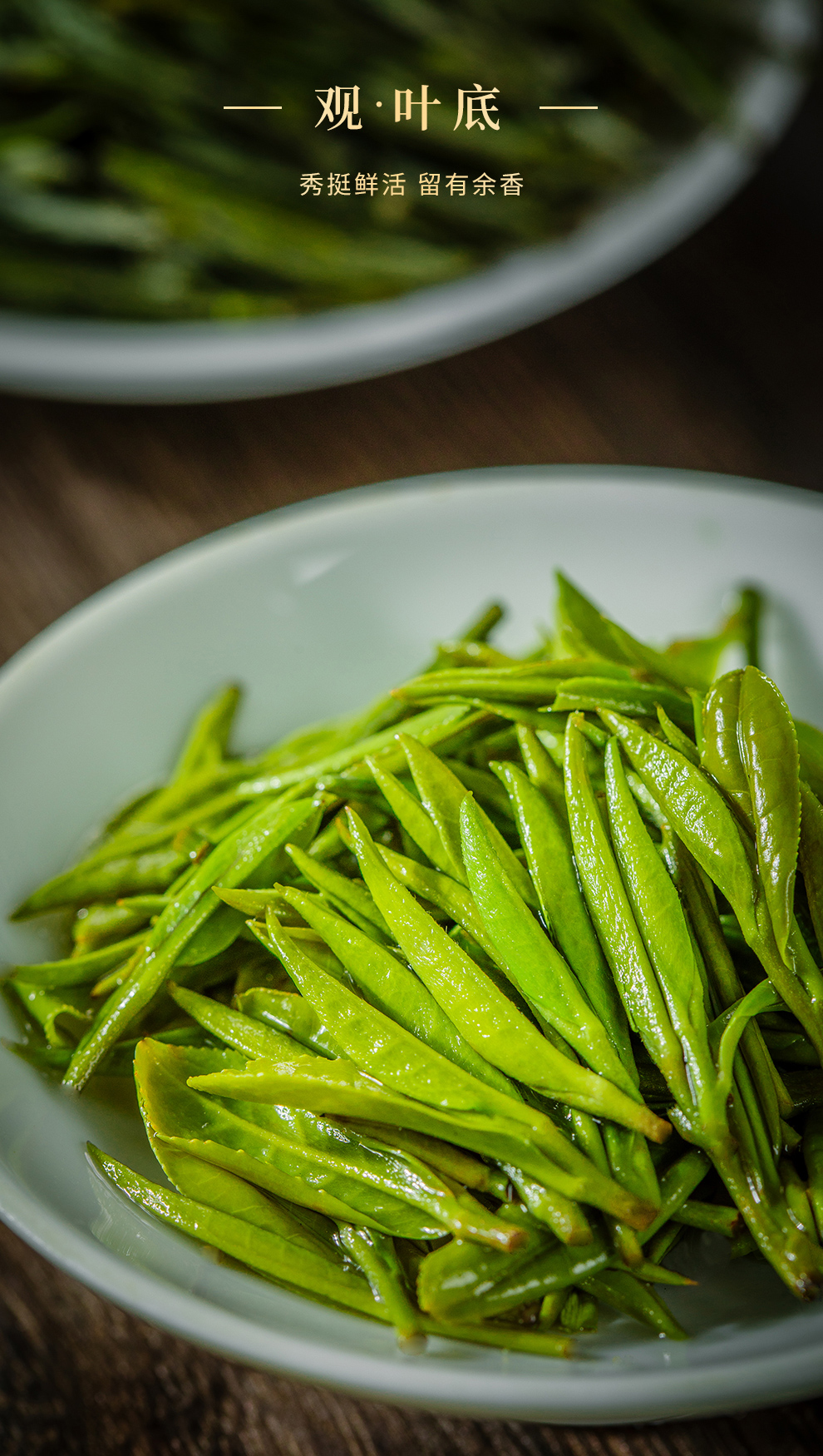 黄山毛峰是什么茶,黄山毛峰是什么茶什么价位