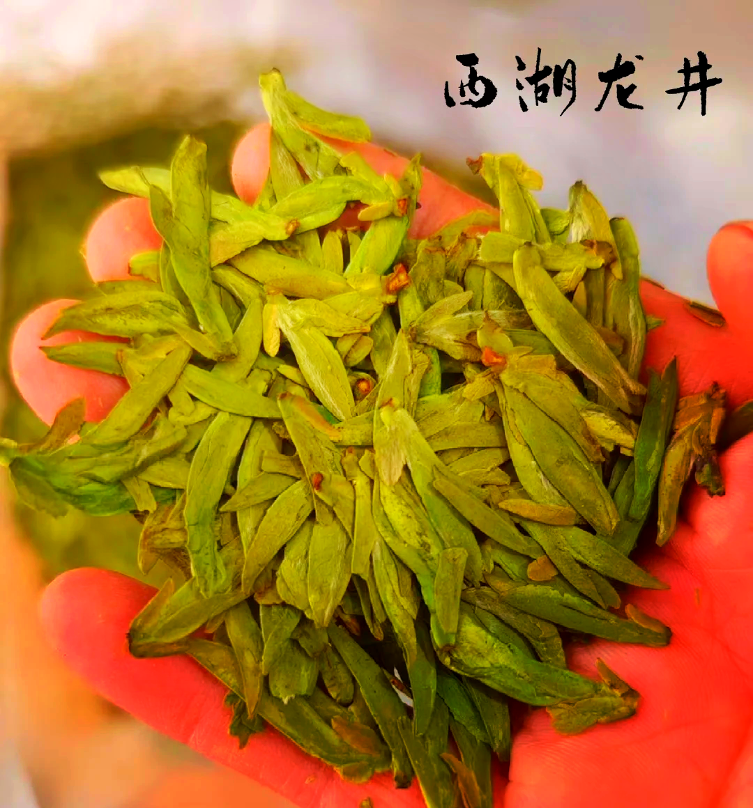 普洱茶熟茶能减肥吗普洱熟茶能减肥吗?去问一下