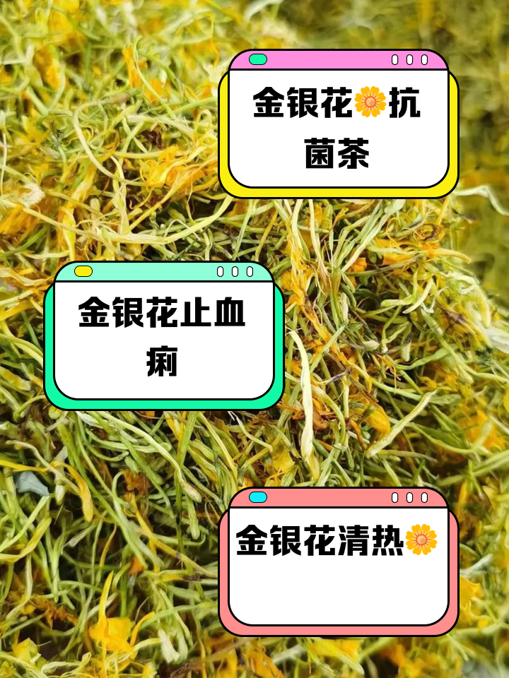 金银花的功效与作用泡水喝的功效与禁忌,金银花的功用及用法