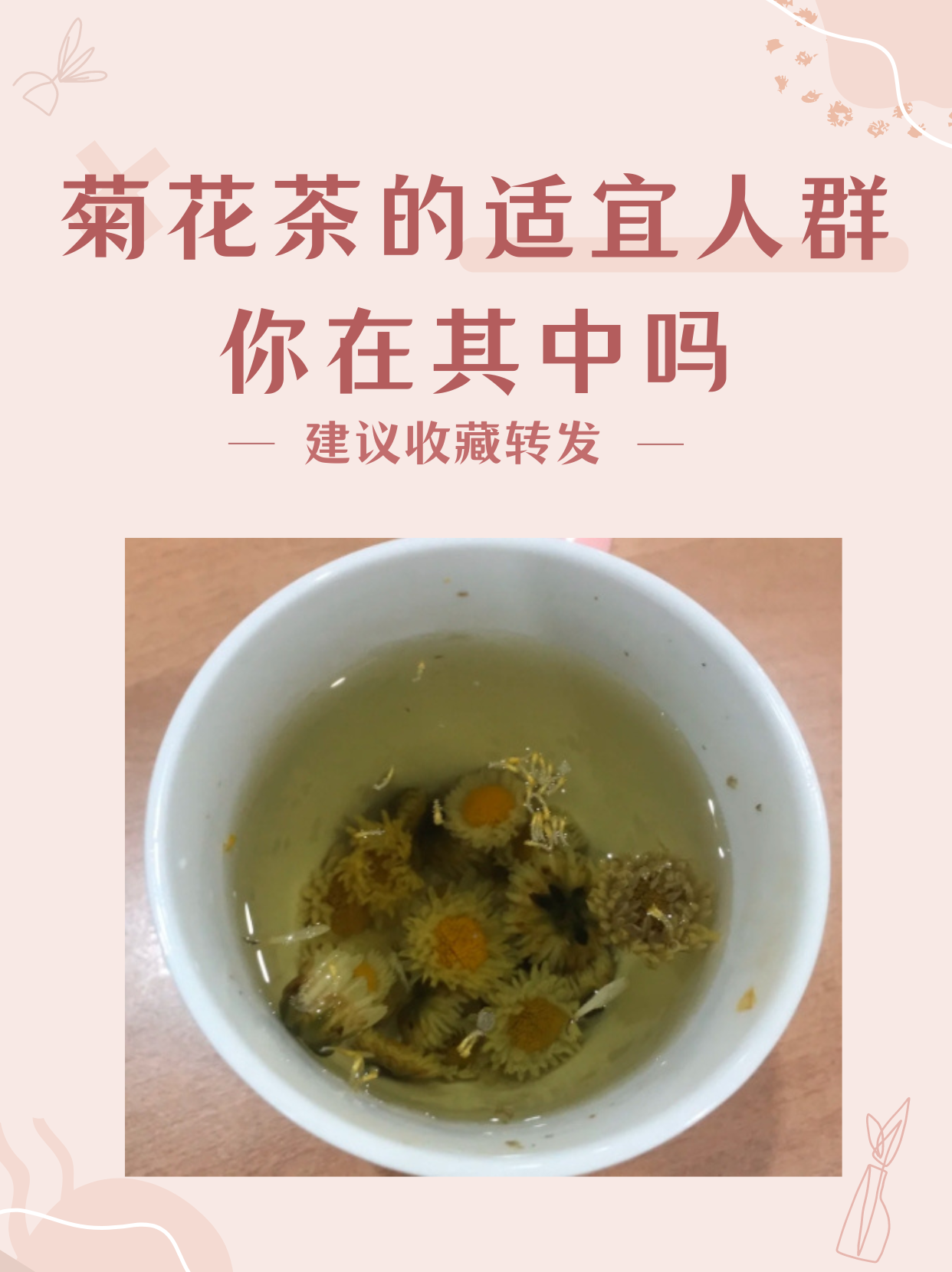 菊花茶对新冠肺炎有用吗,菊花茶对新冠肺炎有用吗能喝吗