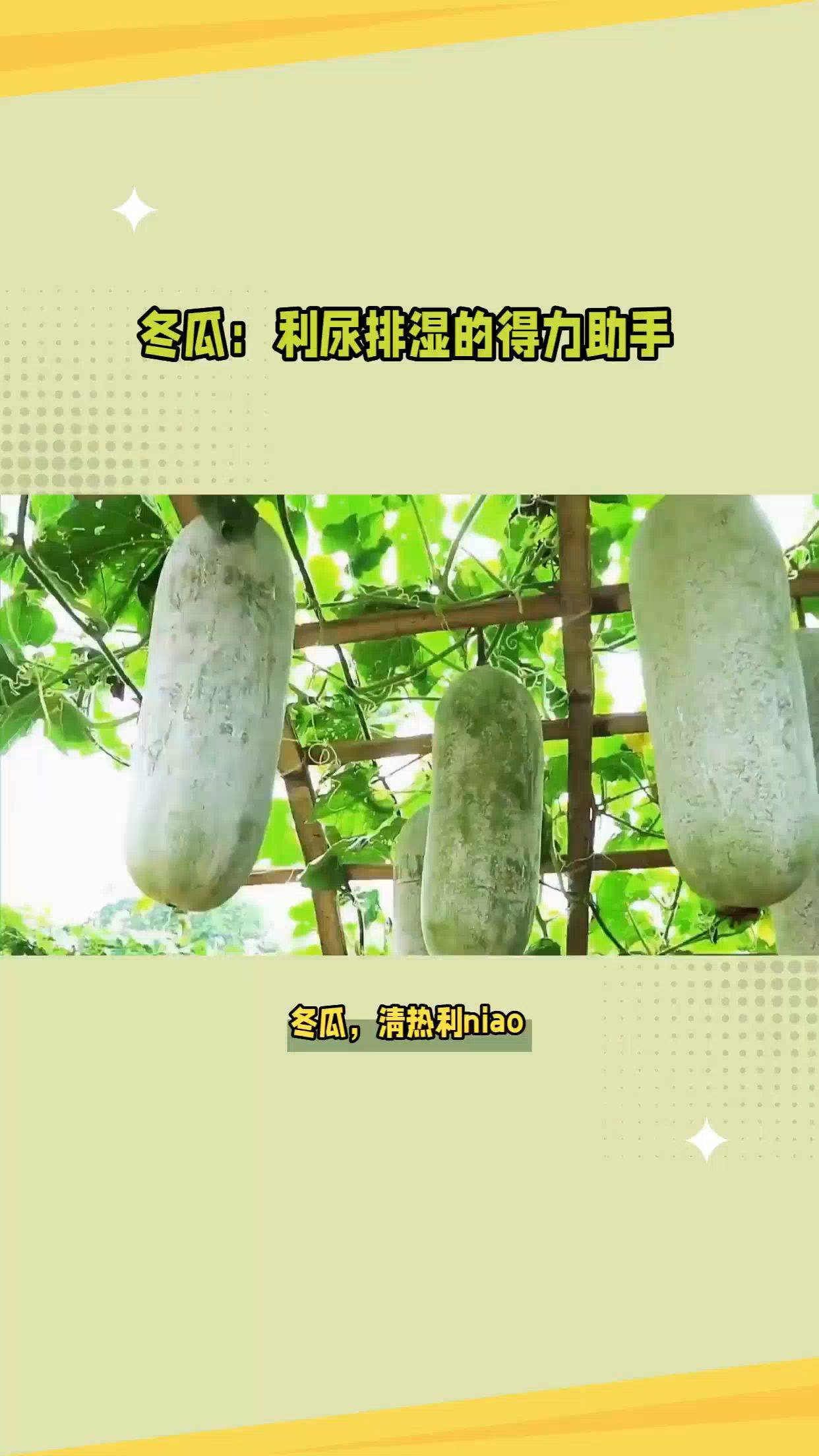 冬瓜能减肥吗?怎么吃减肥效果最好?冬瓜能减肥吗