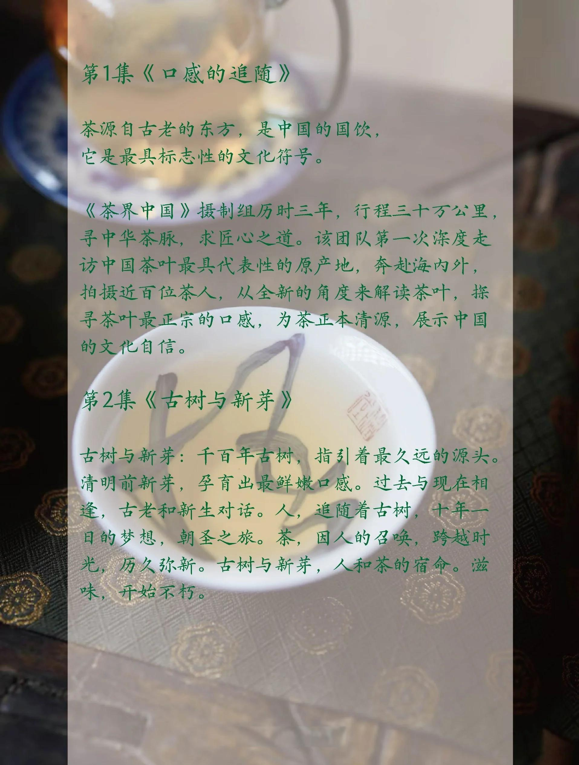 商业合作影响了出发点的选择,让茶界中国,茶界中国