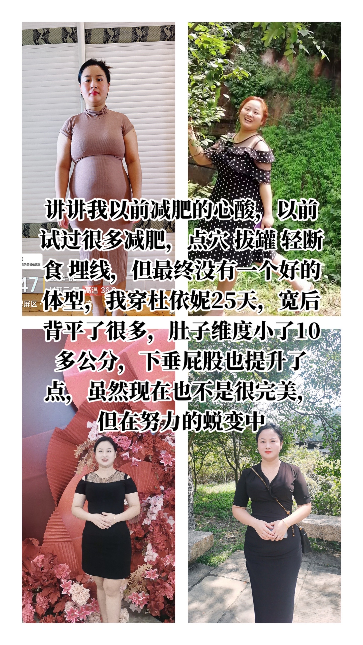 肥妃减肥,轻妃减肥产品图片