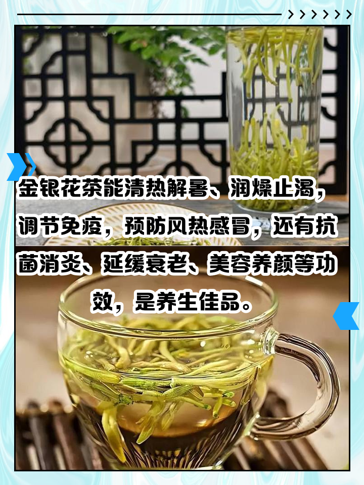 金银花红枣茶的禁忌,金银花茶红枣泡水喝的功效与作用