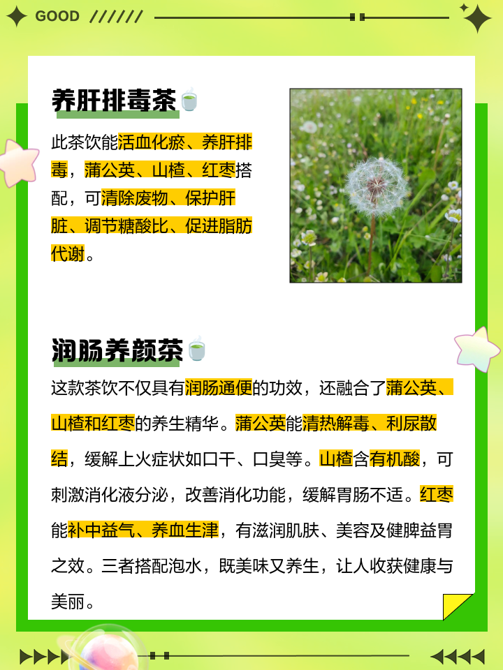 蒲公英泡水喝有什么作用和功效金银花,蒲公英泡水喝有什么作用和功效