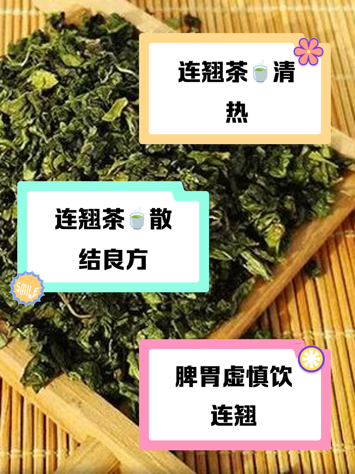 连翘的功效与作用连翘的功效与作用主要用叶还是花果