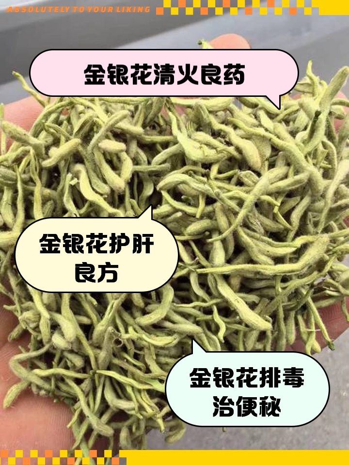 金银花的功效与临床应用金银花的功效与作用用量