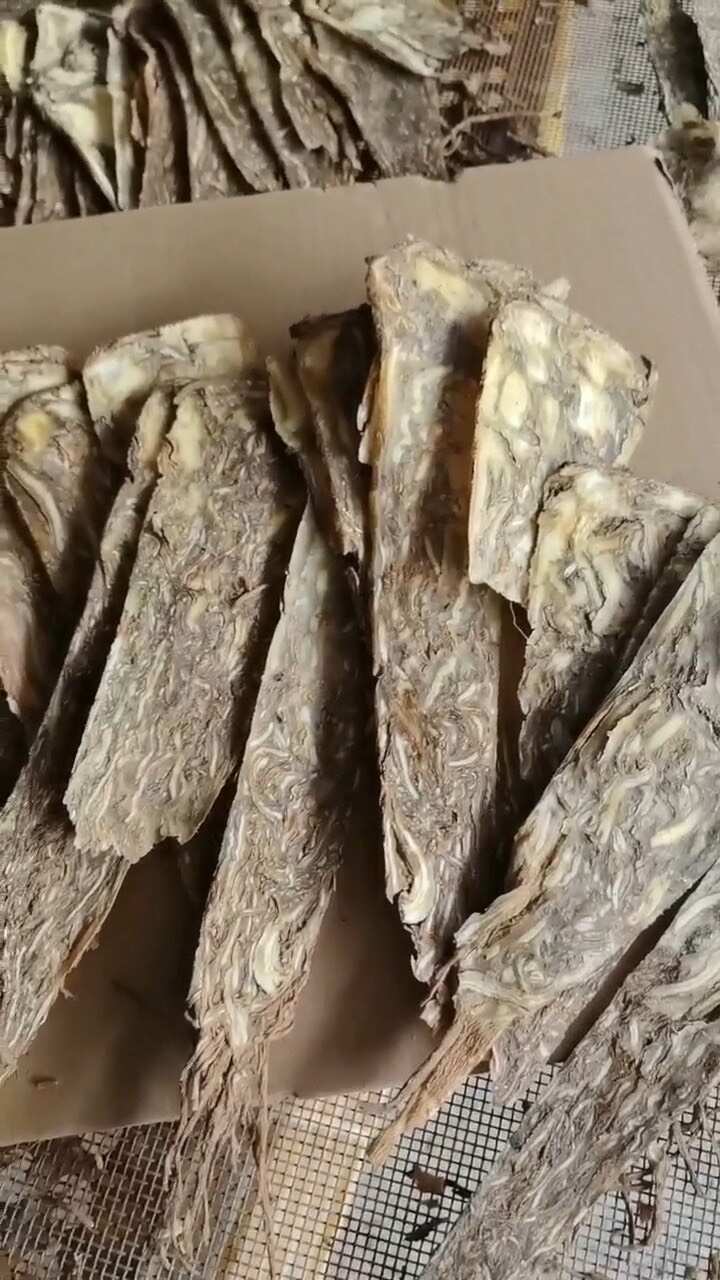 佛手片佛手片的副作用