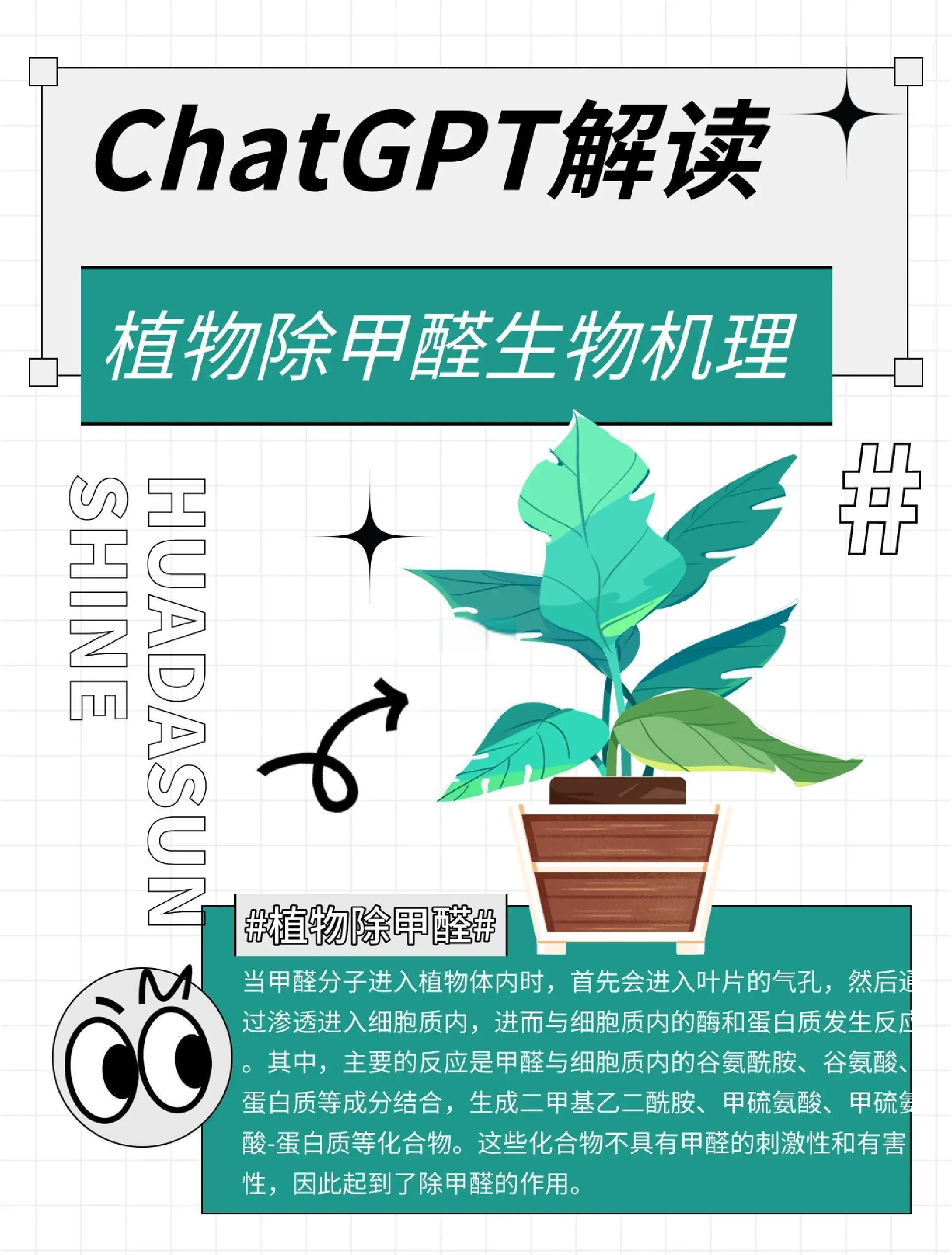 甲醛进入人体体内怎么排出来,甲醛进入体内后如何快速排出