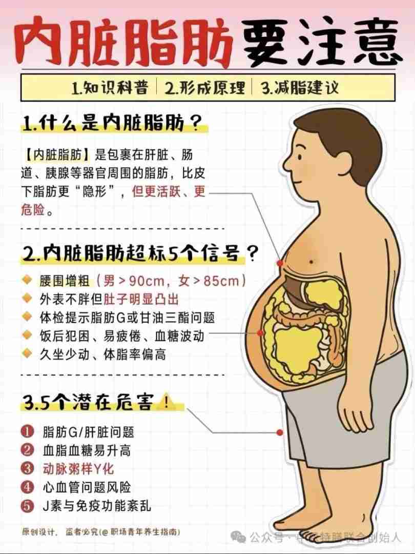 特膳减肥的原理是什么特膳减肥