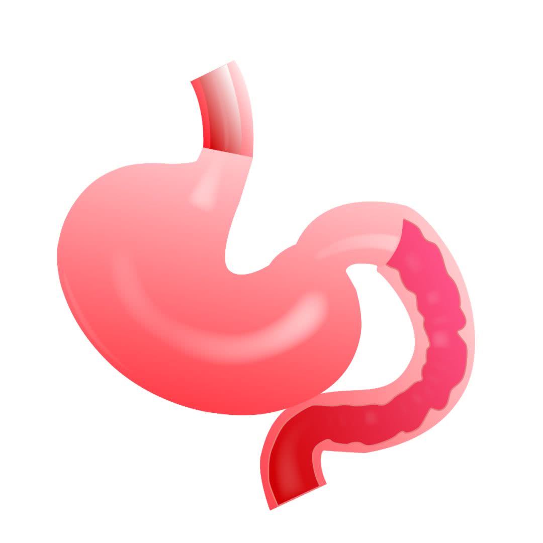 肠胃吸收不好怎么办,消瘦 促进肠胃吸收的药
