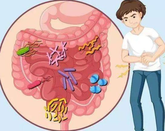 女人肠胃炎有哪些症状慢性肠胃炎的症状