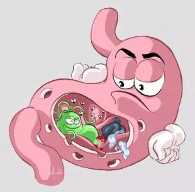 如何肠胃调理肠胃的食物食谱