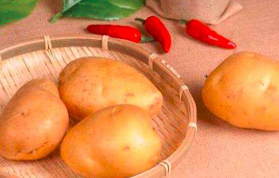 吃土豆能减肥吗,土豆减肥法一天瘦一斤