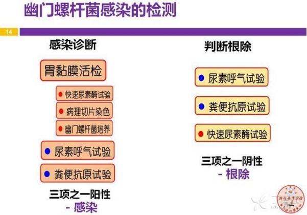 包含幽门螺旋杆菌阳性50有必要治疗吗的词条