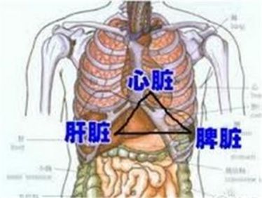 关于脾胃虚弱的表现和症状的信息