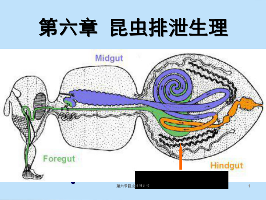 排泄株式会社,排泄