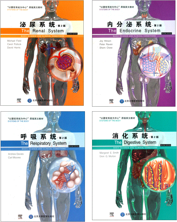 人体结构和功能,人体各个器官的位置