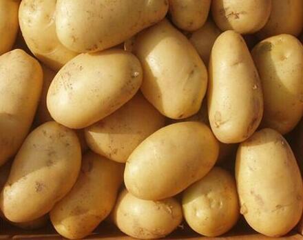 吃土豆减肥吗