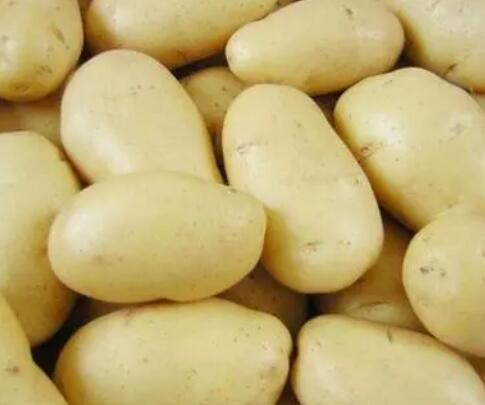 吃土豆减肥吗