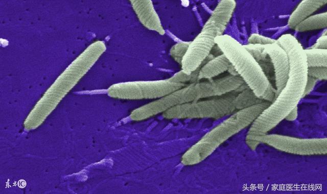 幽门螺旋杆菌感染要注意什么