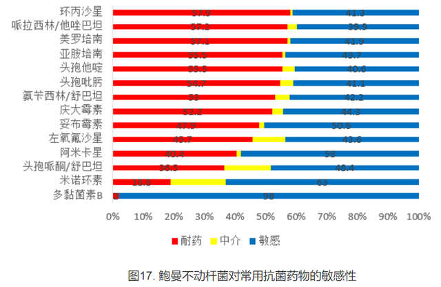 鲍曼不动杆菌