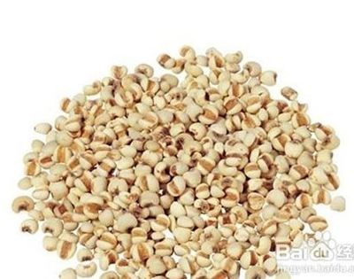 薏米红豆真的能减肥吗薏米减肥吗
