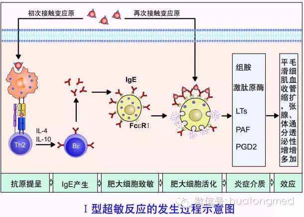 过敏性胃肠炎,过敏性肠炎诊断标准